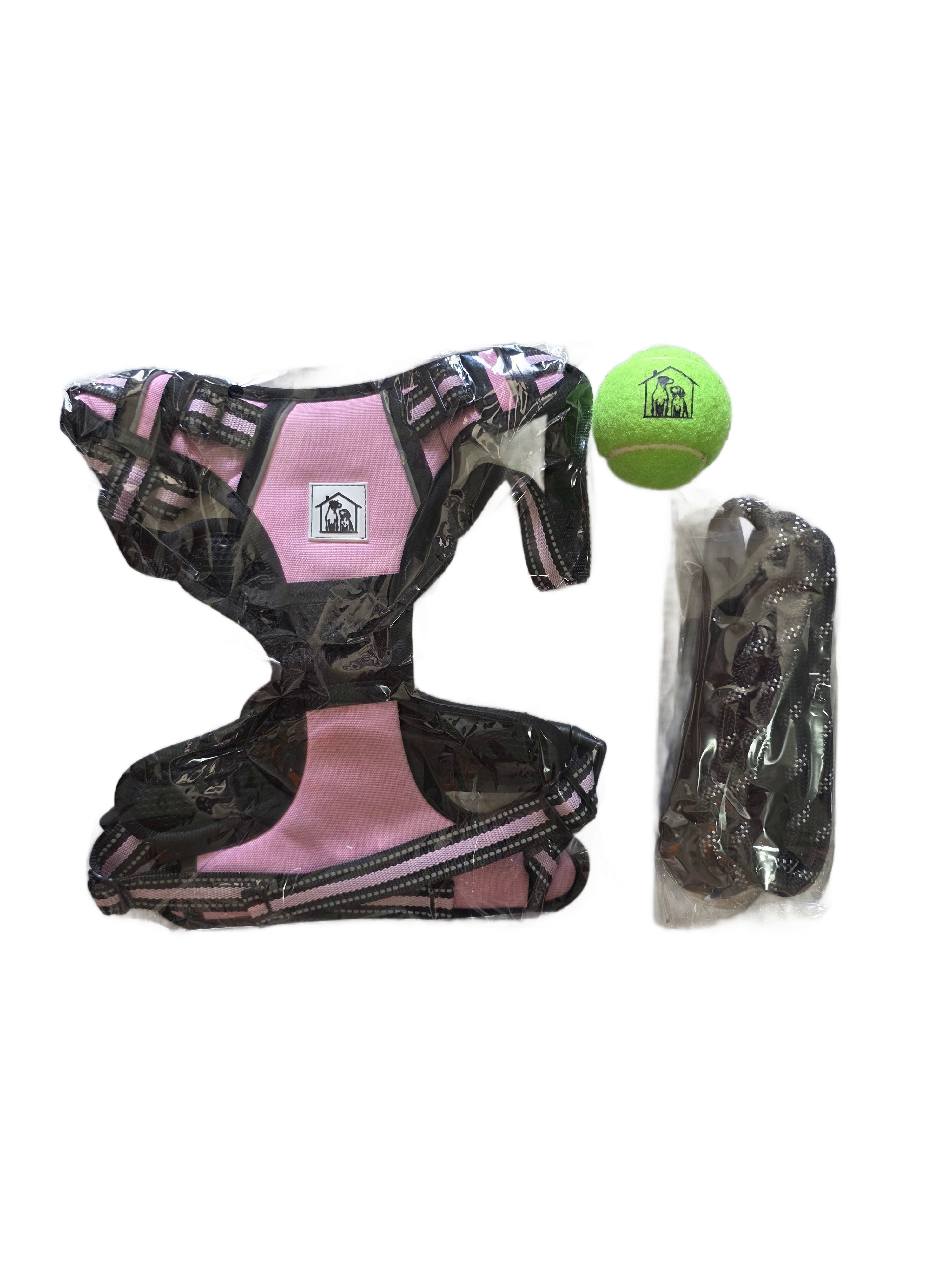 SET COMPLETO PETTORINA + GUINZAGLIO + PALLA DA GIOCO OMAGGIO