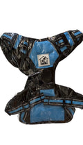 Pettorina blu