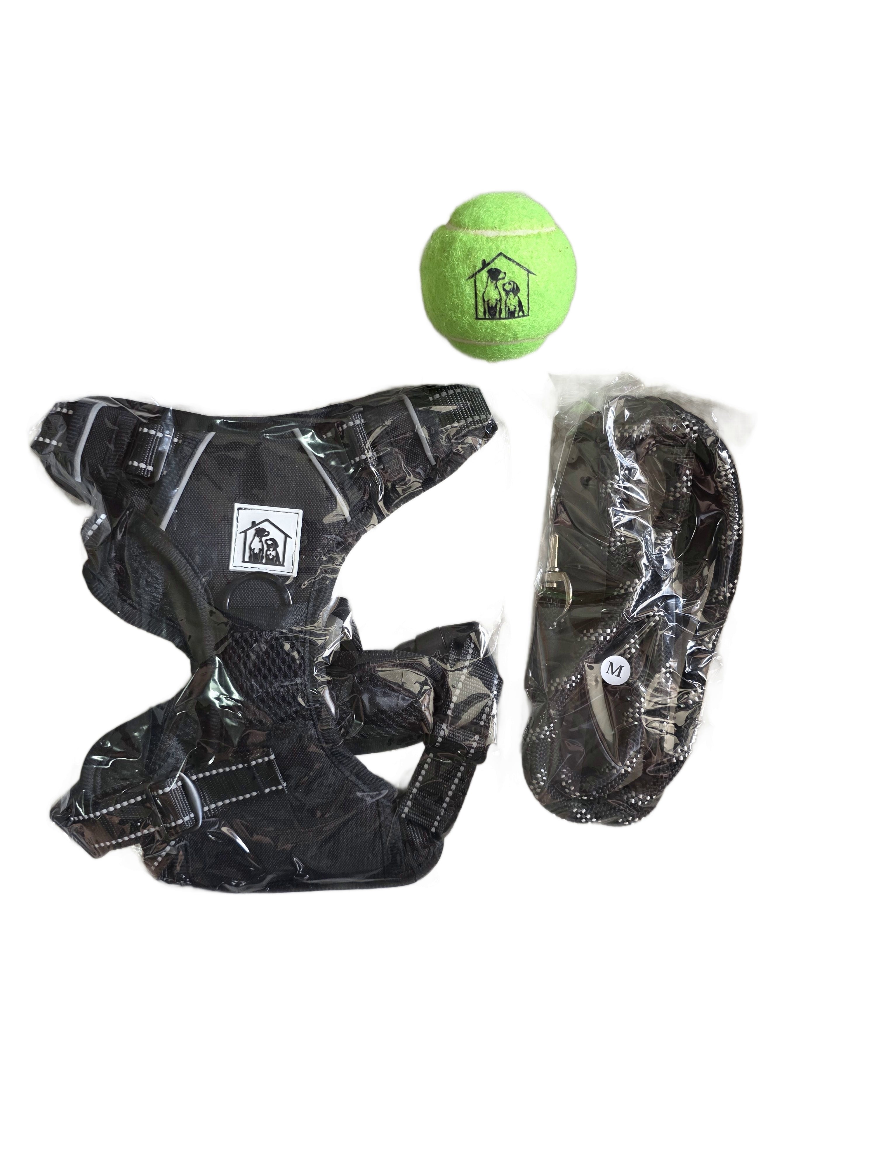 SET COMPLETO PETTORINA + GUINZAGLIO + PALLA DA GIOCO OMAGGIO