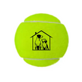 STOCK PALLINE DA TENNIS x25