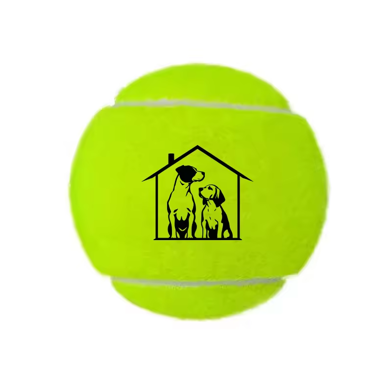 STOCK PALLINE DA TENNIS x25