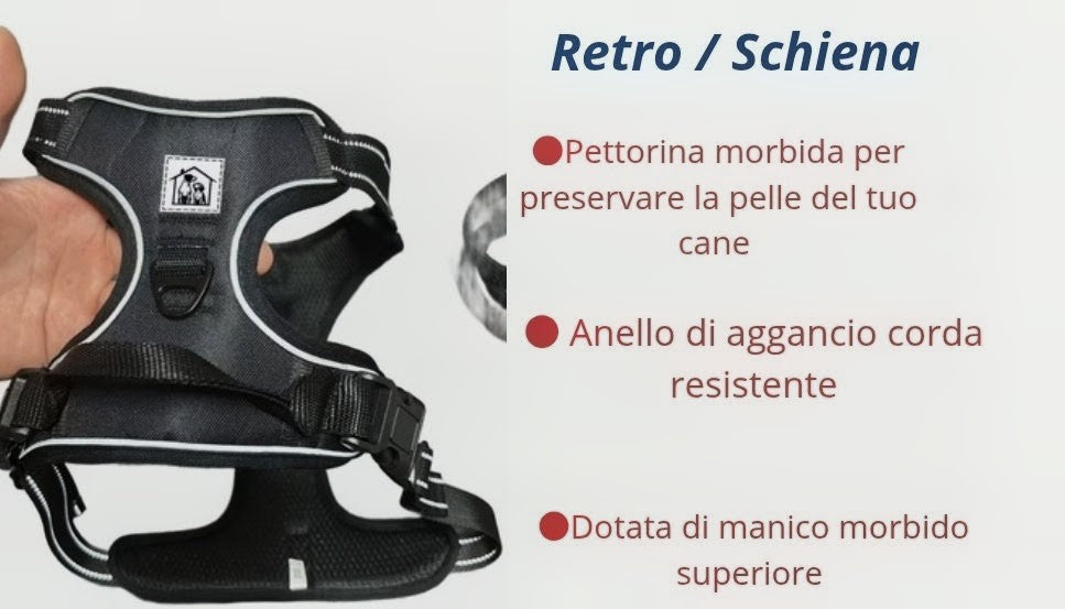 Pettorina blu