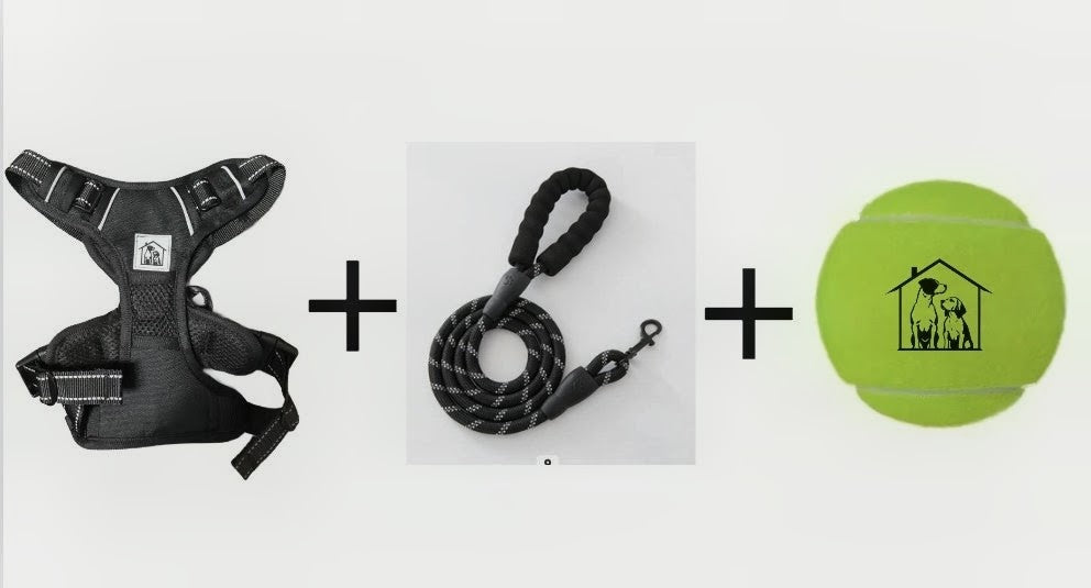 SET COMPLETO PETTORINA + GUINZAGLIO + PALLA DA GIOCO OMAGGIO